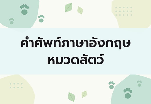 คำศัพท์ภาษาอังกฤษหมวดสัตว์พร้อมคำอ่านไทย