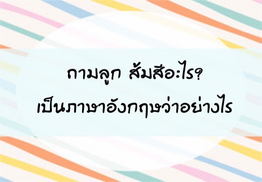 ถามลูก ส้มสีอะไร? เป็นภาษาอังฤษว่าอย่างไร ,สอนลูกพูดภาษาอังกฤษ,เด็กสองภาษา,เด็ก 2 ภาษา,2pasa,สองภาษา,ฝึกลูกพูดอังกฤษ