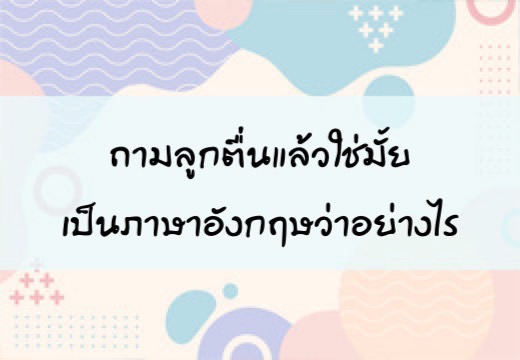 ถามลูก ตื่นแล้วใช่มั้ยเป็นภาษาอังฤษว่าอย่างไร,สอนลูกพูดภาษาอังกฤษ,เด็กสองภาษา,เด็ก 2 ภาษา,2pasa,สองภาษา,ฝึกลูกพูดอังกฤษ